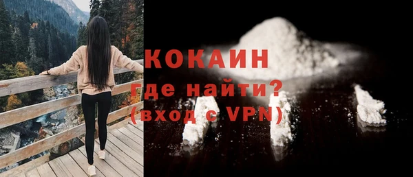 прущие грибы Арсеньев