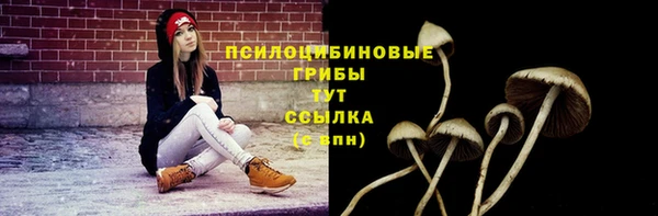 мет Армянск