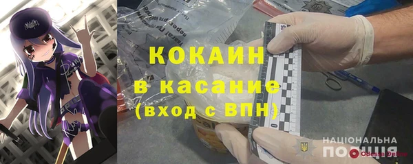 прущие грибы Арсеньев