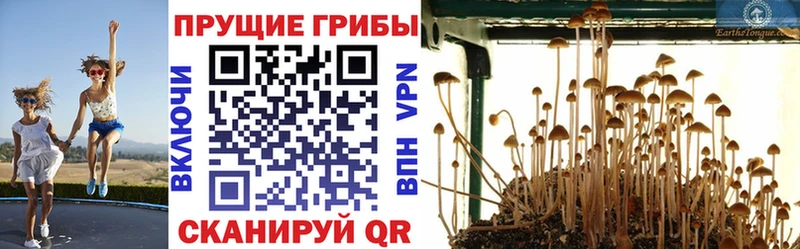 Псилоцибиновые грибы GOLDEN TEACHER  мориарти Telegram  Нижняя Салда 